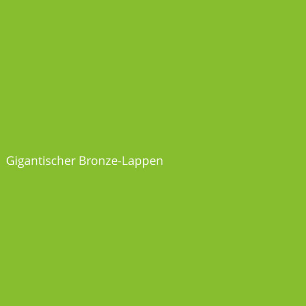 Gigantischer Bronze-Lappen