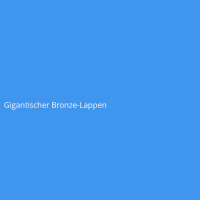 Gigantischer Bronze-Lappen