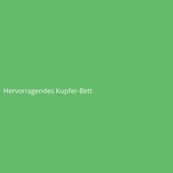 Hervorragendes Kupfer-Bett