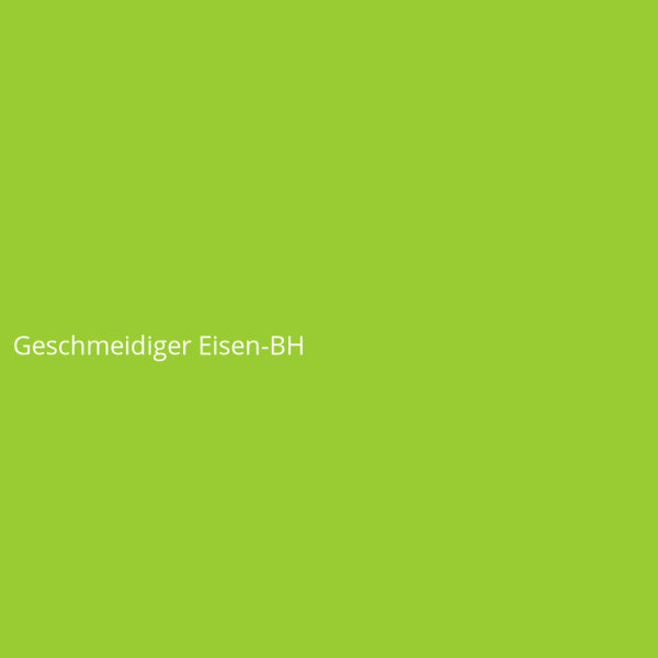 Geschmeidiger Eisen-BH